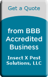 Insect X Pest Solutions, BBB Business Review